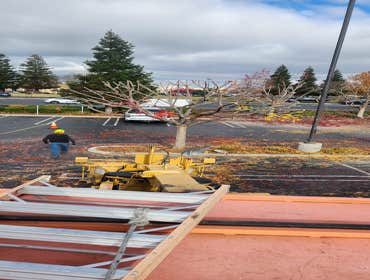 Photos by Pro M Tree Service #31