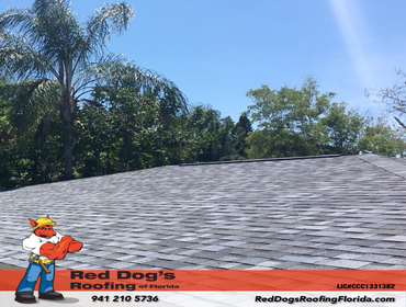 Photos by Red dog's Roofing of Florida #1