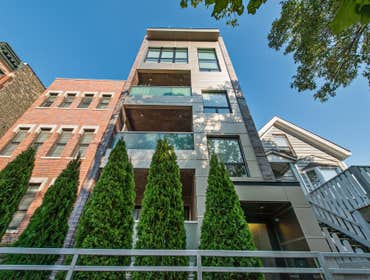 3037 N Sheffield , Chicago 3 Unit building - Duplex Down, Simplex and Duplex Up. 2017 New construction.
Kitchen : Sub Zero and Wolf appliances, Kalis