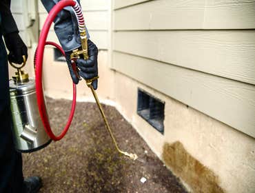 Perimeter pest treatment