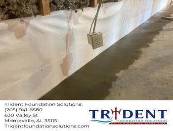 Photos by Trident Foundation Solutions #1