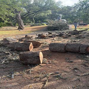 Photos by Naranjal Tree Service LLC #9