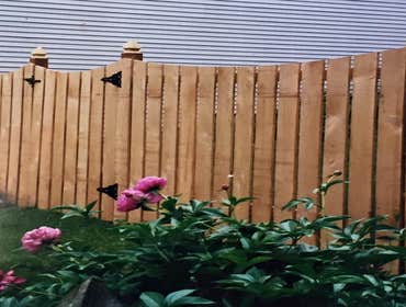 Fences