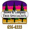 Brown and Company Tree Specialists LLC logo