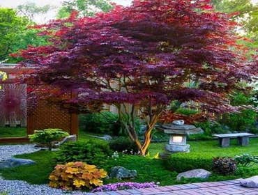 Photos by Blue Leaf Landscaping #1