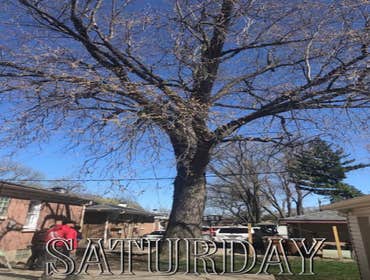 Photos by Sunnyview Landscaping #1