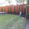 Southern Comfort Landscape and Irrigation logo