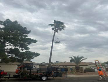 Photos by Garcia’s Lands Care Service #1