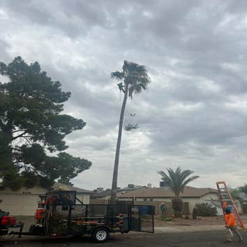 Photos by Garcia’s Lands Care Service #1