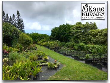 Aikane Landscaping & More