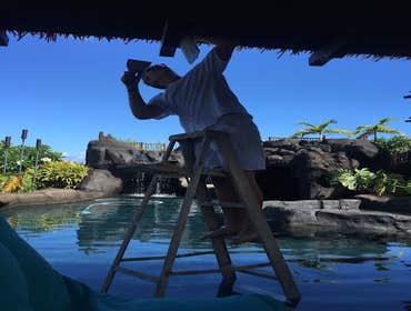 Photos by Diamond Painting Maui #1