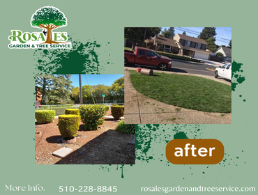 Photos by Rosales Garden and Tree Service #19
