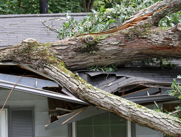Photos by Roof Geeks #1