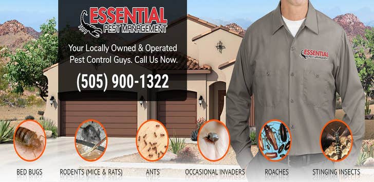 Essential Pest Management