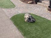Photos by NorCal Easy Green Synthetic Lawn #1