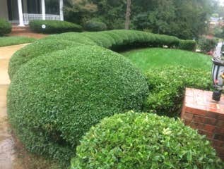 Photos by Don Cele Landscaping #1