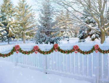 Fences