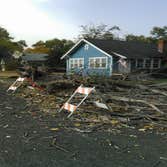 Photos by Get Er Down Tree Service #1