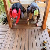 Sandy Springs Decks & Patio Covers