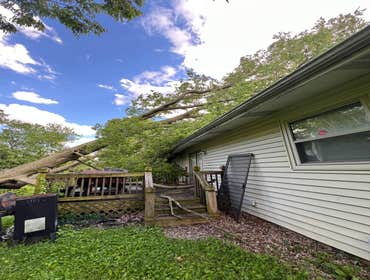 Photos by El Tule Tree Services LLC #26