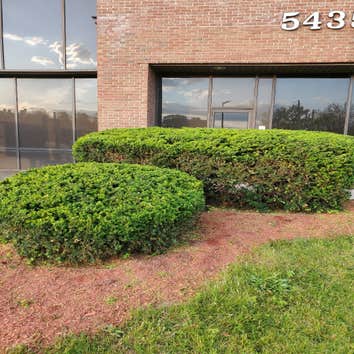 Photos by Junior Landscaping #1