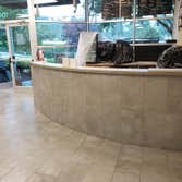 Photos by Juan Gomez Tile and Stone LLC #4