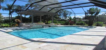 Dog Days Pools