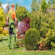 Photos by Danny's Landscaping Services #1