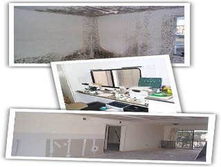 Berkeley Carpet Cleaners Project