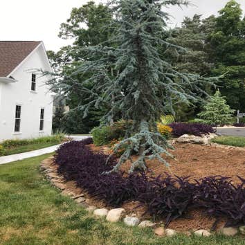 Photos by Jose Santos Landscaping #1