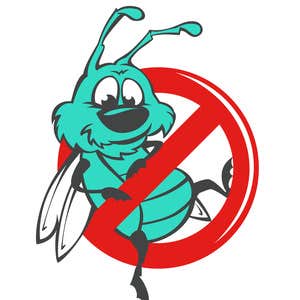Photos by the Bug Master #1