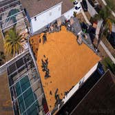 Photos by Roofer Cape Coral #3