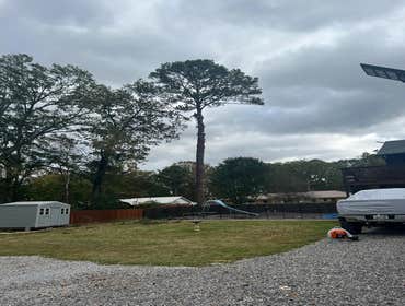 Photos by Rg Tree Services #6