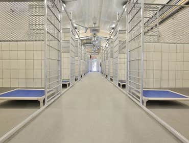 Animal Defense League Kennel Project