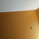 Pro Work Paint LLC
