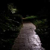 The Illuminators Project
