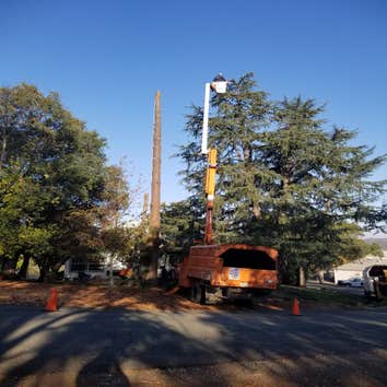 Testerman Tree Services Annandale