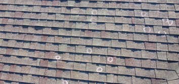 Photos by Blue Ladder Roofing Company of Carmel #1