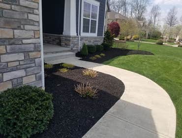 Photos by Jm Landscape and Tree Services #1