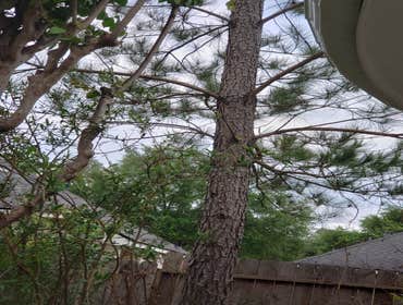 Photos by Diaz Seamless Gutters #5