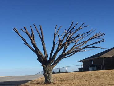 Photos by K&r Tree Service LLC #1