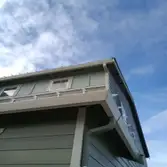 Real Improvements