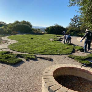 Photos by Sam´s Garden Maintenance Service #9