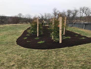 Photos by Sg Gonzalez Landscaping & Maintenance LLC #1