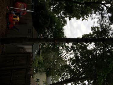 Tree Service South Jersey