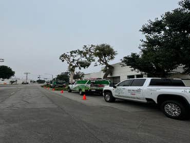 Photos by California Green Tree Care #1
