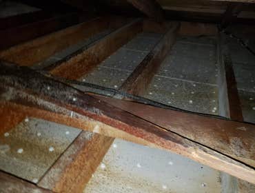 DENALI BUILDERS CA,INSULATION PROJECT R38 Insulation project
Remove old insulation and haul away
Provide light vacuum inside the attic
Install new R