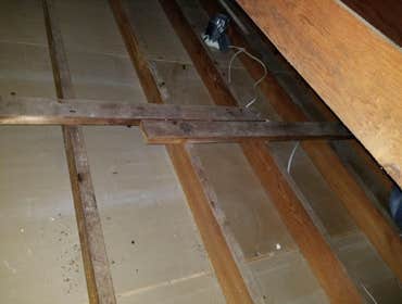 Attic After Cleaning