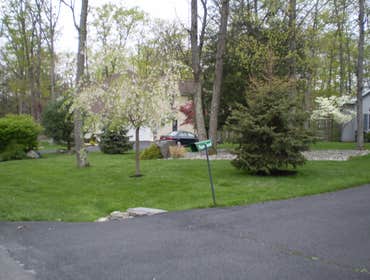 Walkways, Plantings, Retaining wall