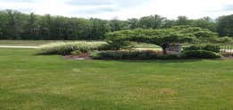 J.F.D. Landscapes, Inc.